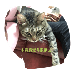 我和你你和我
