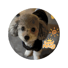 LOVE❤️LOVE❤️FUKU