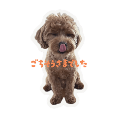 una_20250721070350