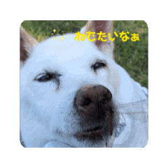 SAKU_20250721203501