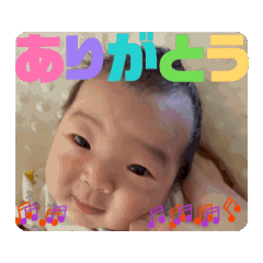 #tsumutan