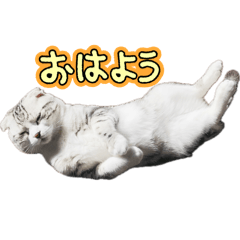 Kaho_20250720083435