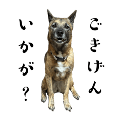 こなつとつむぎたち