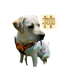 himawari_20250720235611