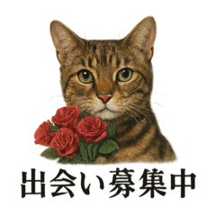 【婚活】恋するベンガル猫の恋愛スタンプ