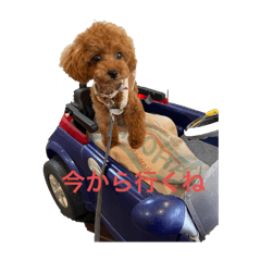 nozomi_20250721004331