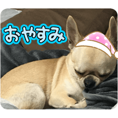 Tora_20250721104000