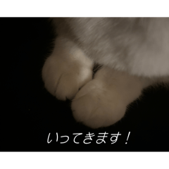 chichi_20250721121434