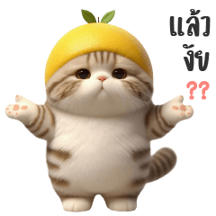 เหมียวหัวเลม่อน