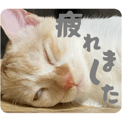 orange_20250720211935