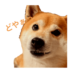 N_20250720215049