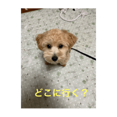 fuutarou_20250720212020