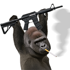 Cool Gorilla!