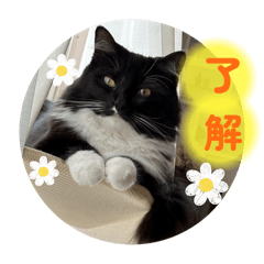 yuka_20250721141142