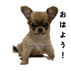 CHIKUWA_20250720222259