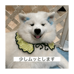 choco_20250720222707