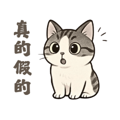 圓貝
