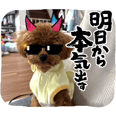 Kaori_20250720204603