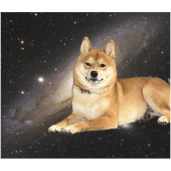 AKIKO_20250720205402