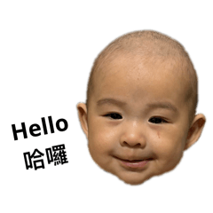 羅波高.