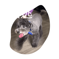 ㄇㄆ