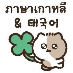 Lucky Cat KIKI (Korean&Thai)