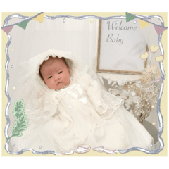 Koara_20250720174716