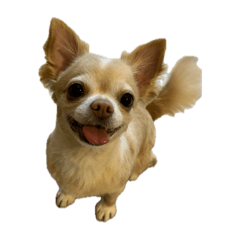 motimotti_20250720190144