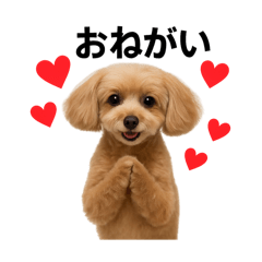 hayato_20250720223315