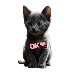 Lovery kitten