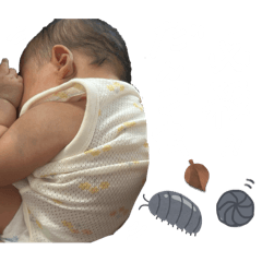 tonton_20250721171646