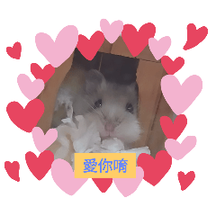 可愛鼠寶貝米菲公主貼圖