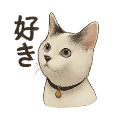 はーちゃん家のチロちゃん