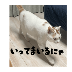 Shun_20250721180645