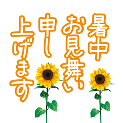 Summer greetings with moving backgrounds