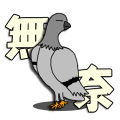 taiwan pigeon life