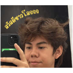 goose_20250721161729