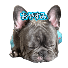 OHAGI_20250720225619