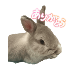 mio_20250720231029