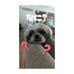 akari_20250721074822