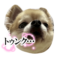 haruka_20250721083739