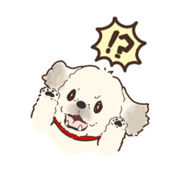 Kamewo_20250721085321