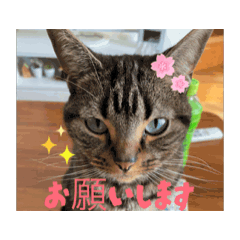 Mo_20250722130151