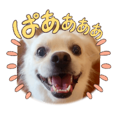 Taotao20250721110759