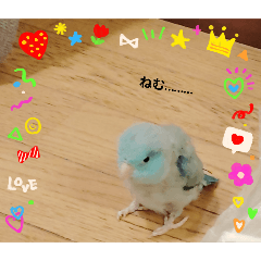 enaaaaa_20250721114656