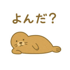 todo chan