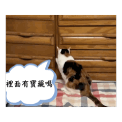 阿富與阿貴白爛日常