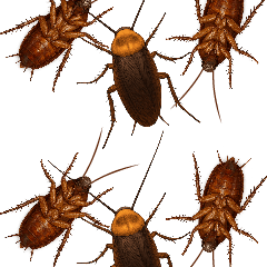 Cockroach Prank Part 3 : Pop-up stickers