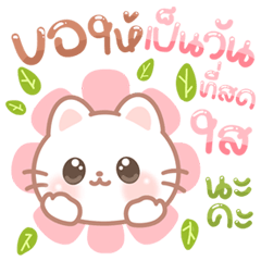 Miki the White Cat Cute & Lovable