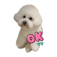 natsumi_20250720115057